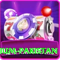 Aviator Game Pakistan Premium Pakistan